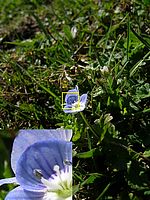 Makro (R) | Petr Koritina Makro (R)