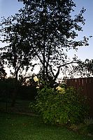 Sychro pro dlouhé časy