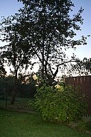 synchro pro dlouhé časy