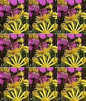 střed snímku | Karel Omes střed snímku