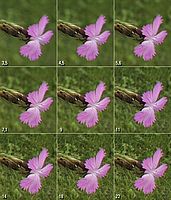 kraj snímku | Karel Omes kraj snímku