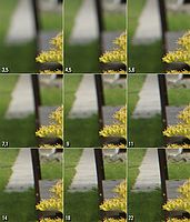 bokeh z kraje snímku | Karel Omes bokeh z kraje snímku