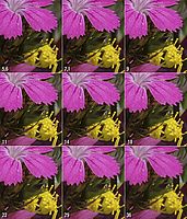 střed snímku | Karel Omes střed snímku