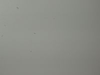 Blesk, f 114 mm | Petr Koritina Blesk, f 114 mm