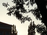 Výřez (R) | Petr Koritina Výřez (R)