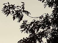 Výřez (R) | Petr Koritina Výřez (R)