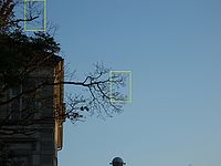 Aberace, f 118 mm | Petr Koritina Aberace, f 118 mm