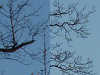 Výřezy (R) | Petr Koritina Výřezy (R)