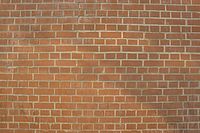 8. Kresba a zkreslení