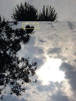 Aberace, protisvětlo (R)