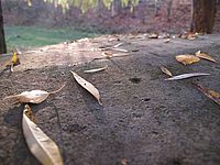 OLYMPUS E-500 - ostrost / neostrost