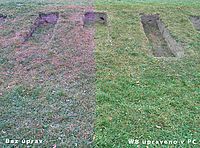 OLYMPUS E-500 - WB auto/PC