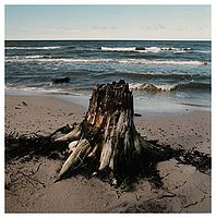 © Rudolf Jung