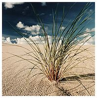 © Rudolf Jung