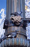 Tisk barevného obrázku