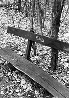 Tisk černobílého obrázku