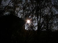 OLYMPUS SP350 / SP310