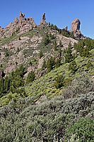 Skalní monument Ruque Nublo