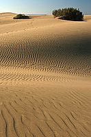 Rezervace Dunas de Maspalomas