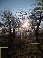 Protisvětlo, aberace