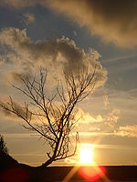 Protisvětlo | Petr Koritina Protisvětlo