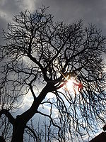 Protisvětlo | Petr Koritina Protisvětlo