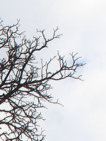 Výřez | Petr Koritina Výřez