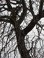 Výřez | Petr Koritina Výřez