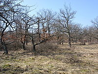 Celkový pohled | Petr Koritina Celkový pohled