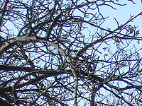 Výřez | Petr Koritina Výřez