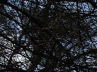 Výřez | Petr Koritina Výřez