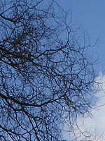 Výřez | Petr Koritina Výřez