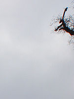 Výřez | Petr Koritina Výřez