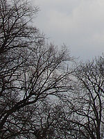 Výřez | Petr Koritina Výřez