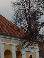 Výřez | Petr Koritina Výřez