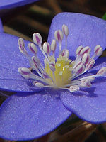 Výřez | Petr Koritina Výřez