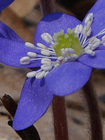 Výřez | Petr Koritina Výřez