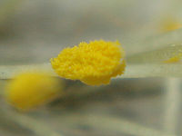 Výřez ze středu | Petr Koritina Výřez ze středu