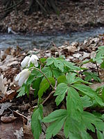 Kousek přírody | Petr Koritina Kousek přírody