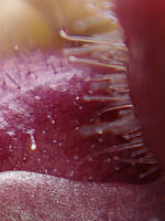 Výřez | Petr Koritina Výřez