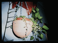 LCD při přehrávání