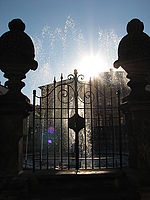 Protisvětlo, 1/1600, f/4,5 | Petr Koritina Protisvětlo, 1/1600, f/4,5