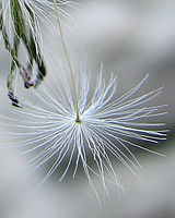 Výřez | Petr Koritina Výřez