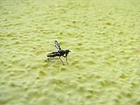 Celek, 1/60, f/4 | Petr Koritina Celek, 1/60, f/4