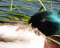 Výřez | Petr Koritina Výřez