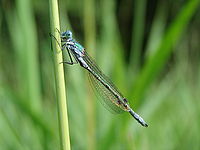 1/400,f/3,5, ISO 80, 102mm