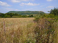 Snímek z fotoaparátu | Petr Koritina Snímek z fotoaparátu