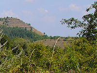 Výřez (R) | Petr Koritina Výřez (R)