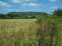 Upravený raw | Petr Koritina Upravený raw