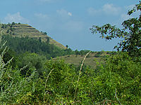 Výřez (R) | Petr Koritina Výřez (R)